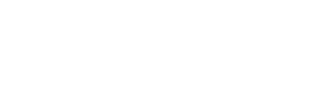 Falcon Coaches